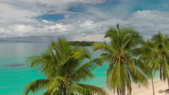 Port Orly sandy beach with palm trees, Espiritu Santo Island, Vanuatu