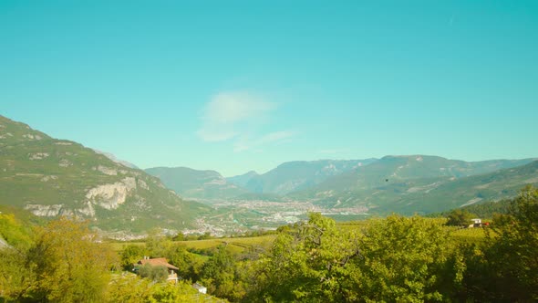 View of Bushes Against Grape Plantation Near Mountains