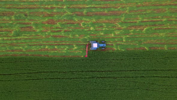 Top Down Aerial View of Mowing with a Agriculture Machine Tractor with Mowers on the Big Farm Field