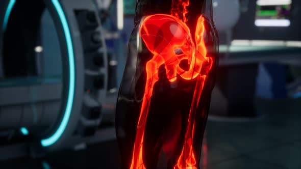 Human Skeleton Bones Scan Exam in Lab alt