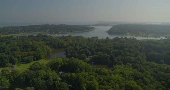 Slow Forward Pan of Pond Amidst Forest Trees and Bay Seen from Afar