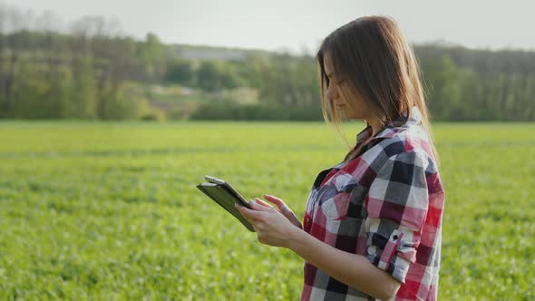 Farmer Using Digital Tablet on Wheat Field