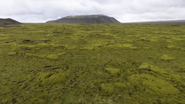 Aerial View of Mossy Lava Field in Iceland