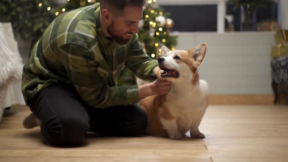 Man petting a dog in front of a Christmas tree at home
