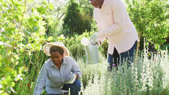 Happy african american senior couple gardening, watering flowers outdoors