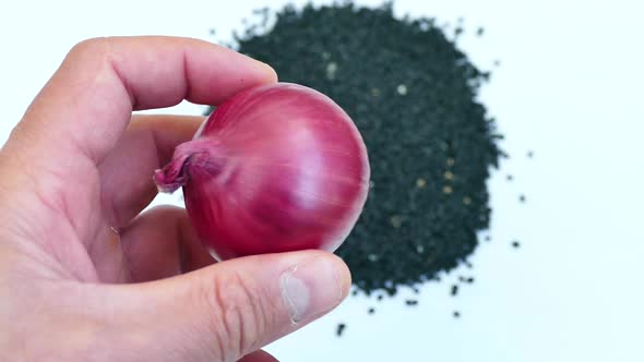 Onion Cultivation and Onion Seed