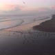 Sunset, Birds on the pacific ocean coast beach (La Serena, Chile) aerial view - VideoHive Item for Sale