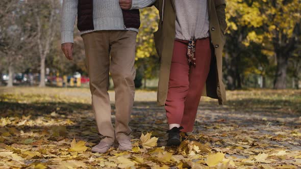 Low section of caucasian couple walking in the park in autumn. Shot with RED helium camera in 4K