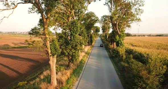 A Beautiful SUV Rides on an Asphalt Road at Sunset