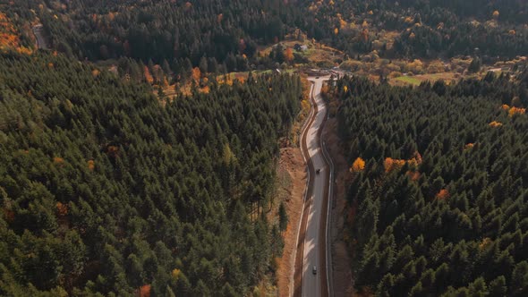 Aerial Top Down Countryside Road Between Hills Green and Orange Woods