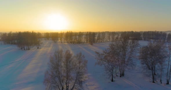 Aerial Drone View of Cold Winter Landscape with Arctic Field Trees Covered with Frost Snow and