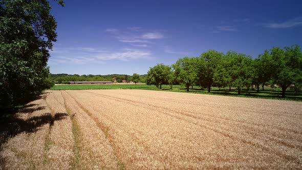 Aerial view of wheat agriculture in Correze, France.