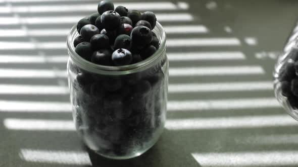 Fresh Blueberries