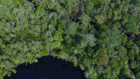 Top Down Backwards Aerial Pan of River Flowing Through Dense Green Forest Trees