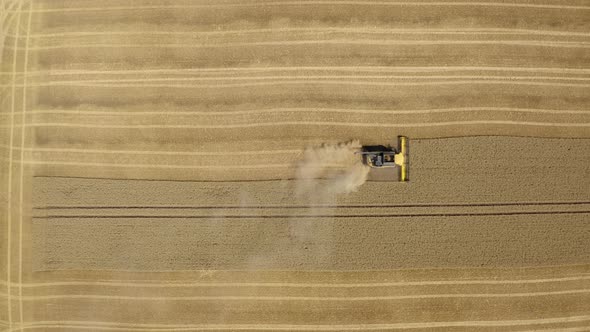 Top down view of Harvester machine working in wheat field 