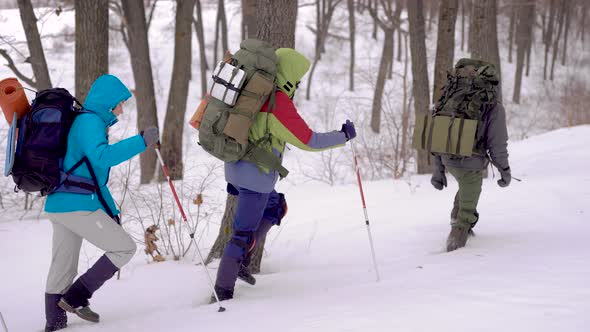 Four People in the Expedition. The Hike Takes Place in Difficult Conditions, People Fall Into