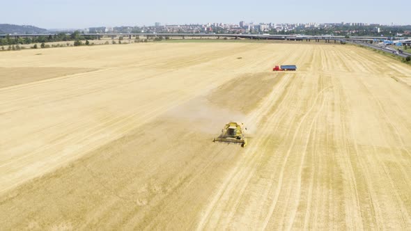 Aerial Drone Shot  a Combine Harvester Works in a Field in a Rural Area on a Sunny Day