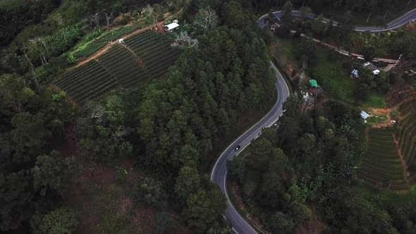 Car on the road from top drone aerial view