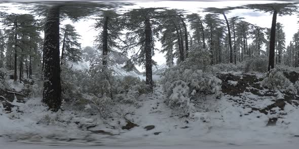 Mountain Lake 360 Vr at the Winter Time. Wild Nature and Mount Valley. Green Forest of Pine Trees