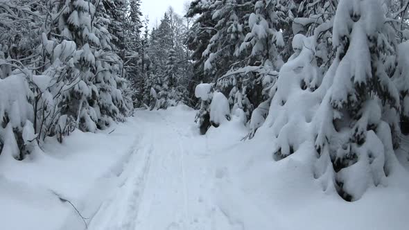 Walking in snowy trail time lapse