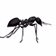 Ant Looped - VideoHive Item for Sale