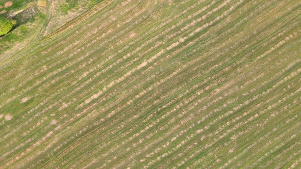 Whimsical Panoramic Aerial View on an Abstract Linear Pattern in the Field