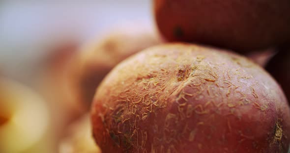 Young potatoes spinning around its axis. Reddish potato with a young skin.