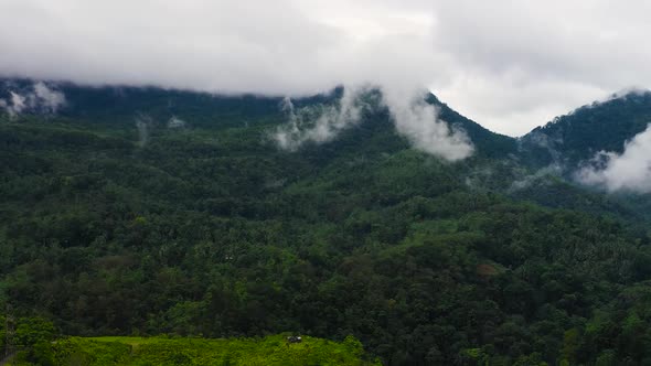 Mountains with Rainforest and Jungle in the Mountainous Province of Sri Lanka alt