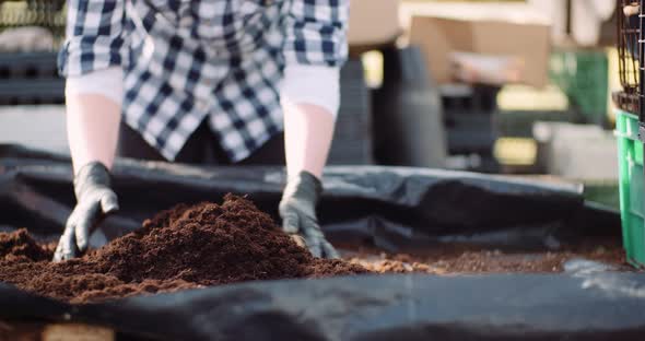 Gardener Examining Soil in Hands