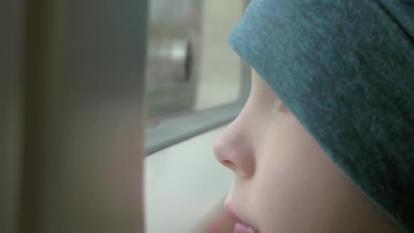 In Train Rides a Little Boy in a Cap Who Looks Out the Window