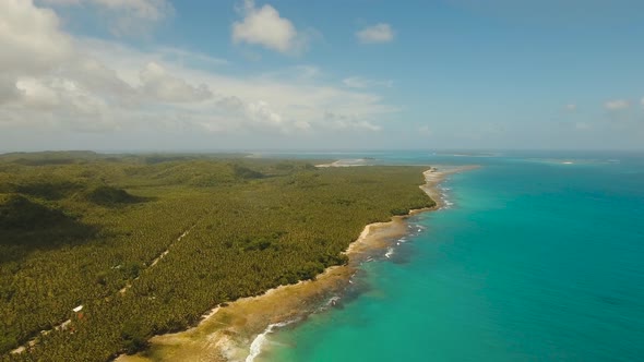 Tropical Beach with and Turquoise Sea