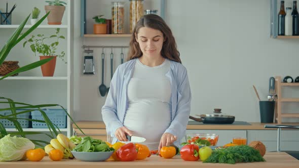 Happy Pregnant Woman Enjoying Preparing a Salad Cutting Organic Vegetables