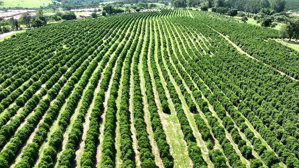 Farming landscape at countryside rural scenery.