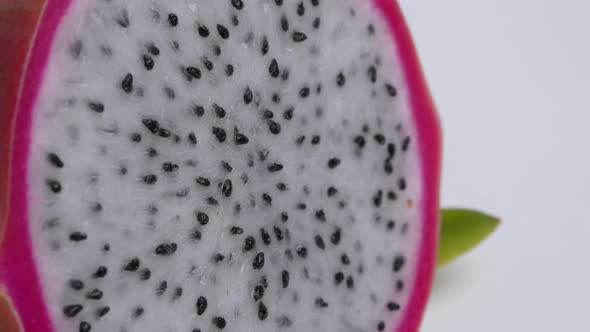 Dragonfruit 47