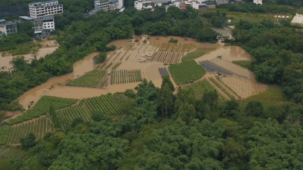 Flooded Crop Fields in China, Damages for Agricultural Business, Aerial View