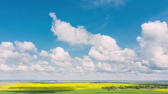 Aerial View Of Agricultural Landscape With Flowering Blooming Rapeseed Oilseed In Field Meadow In