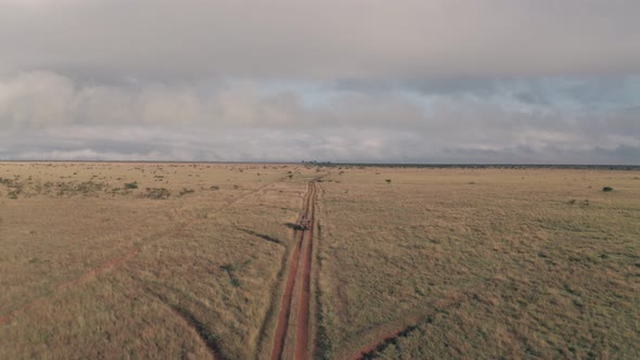 Driving safari in savanna plains in Laikipia, Kenya, Aerial drone view landscape