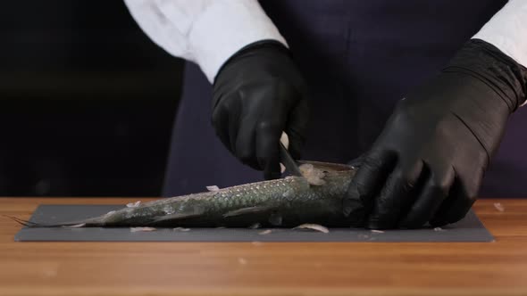 Cleaning fresh mullet fish from scales hands with a knife on cutting board closeup