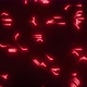 Red Circuits Loop - VideoHive Item for Sale