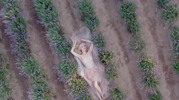 Aerial Cinematic Drone View of Woman Lyingin Colorful Lavender Fields on a Sunny Day Blooming Purple