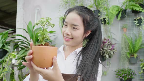 Happy asian women are holding and looking at a small tree small in a flowerpot