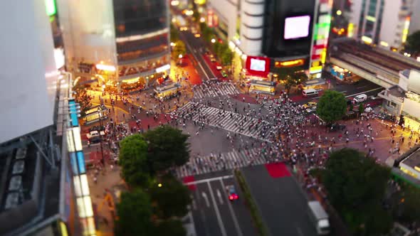 Shibuya Crossing In Tokyo Japan