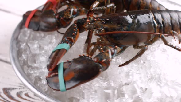 Raw Lobsters with Tied Claws.