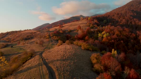 Drone Flying Over Golden Autumn Forest at Sunrise