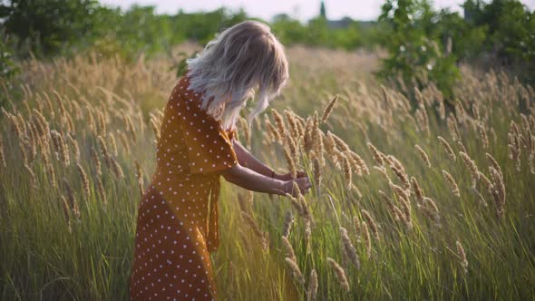 Beautiful Young Woman Walks in the Field Collects a Bouquet of Flowers and Spikelets