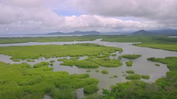 Drone flying over morass in Boca Chica, Panama with beautiful nature view.