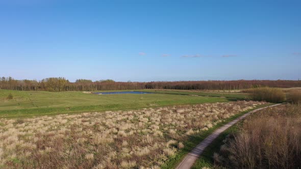 Aerial View Of Forest, Clouds And Plants In Spring