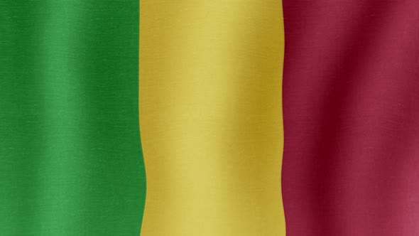 The National Flag of Mali alt