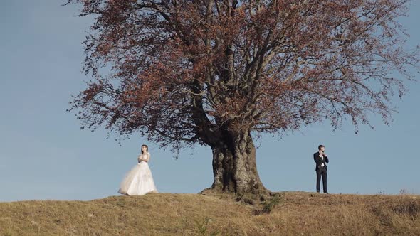 Newlyweds. Caucasian Groom with Bride Near Beautiful Autumn Tree. Wedding Couple