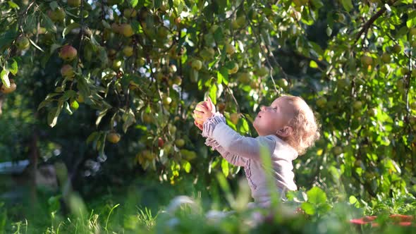 Little Girl with Blond Hair Resting in the Garden a Child Outdoors Near an Apple Tree